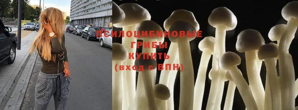 винт Алексеевка