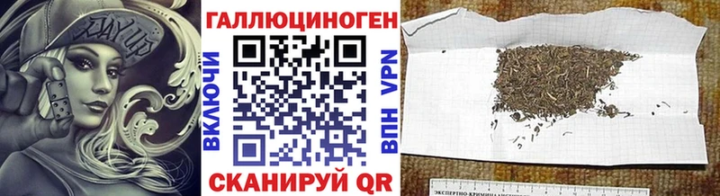 Псилоцибиновые грибы Psilocybe  кракен ссылки  Севастополь  закладка 